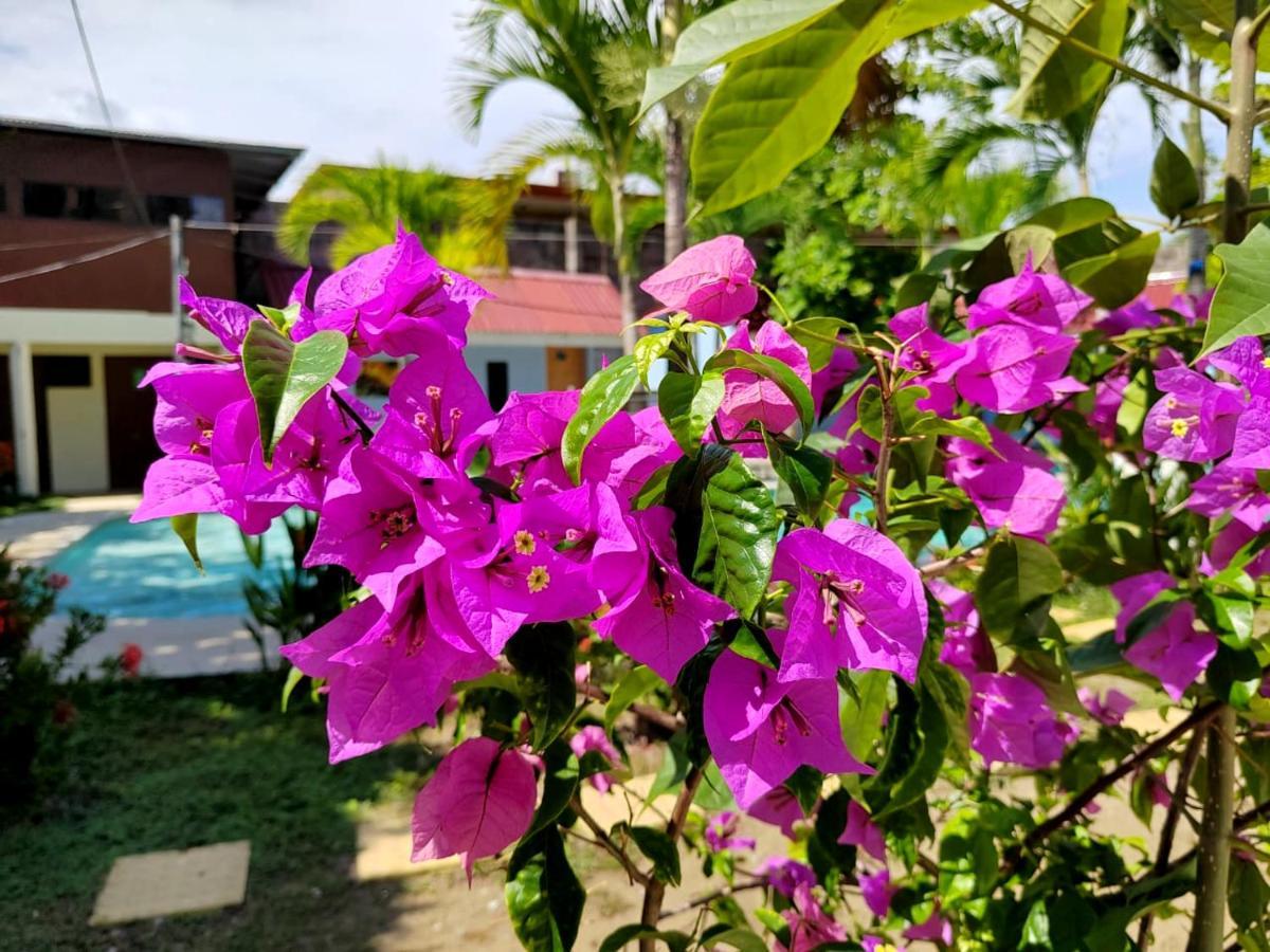 Hotel Catappa Jaco Ngoại thất bức ảnh